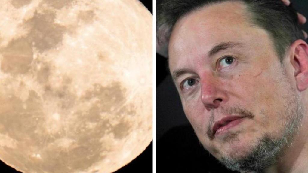 ‘Turn Elon Musk lemons into lemonade’: SpaceX moon crash highlights debris threat for Australia