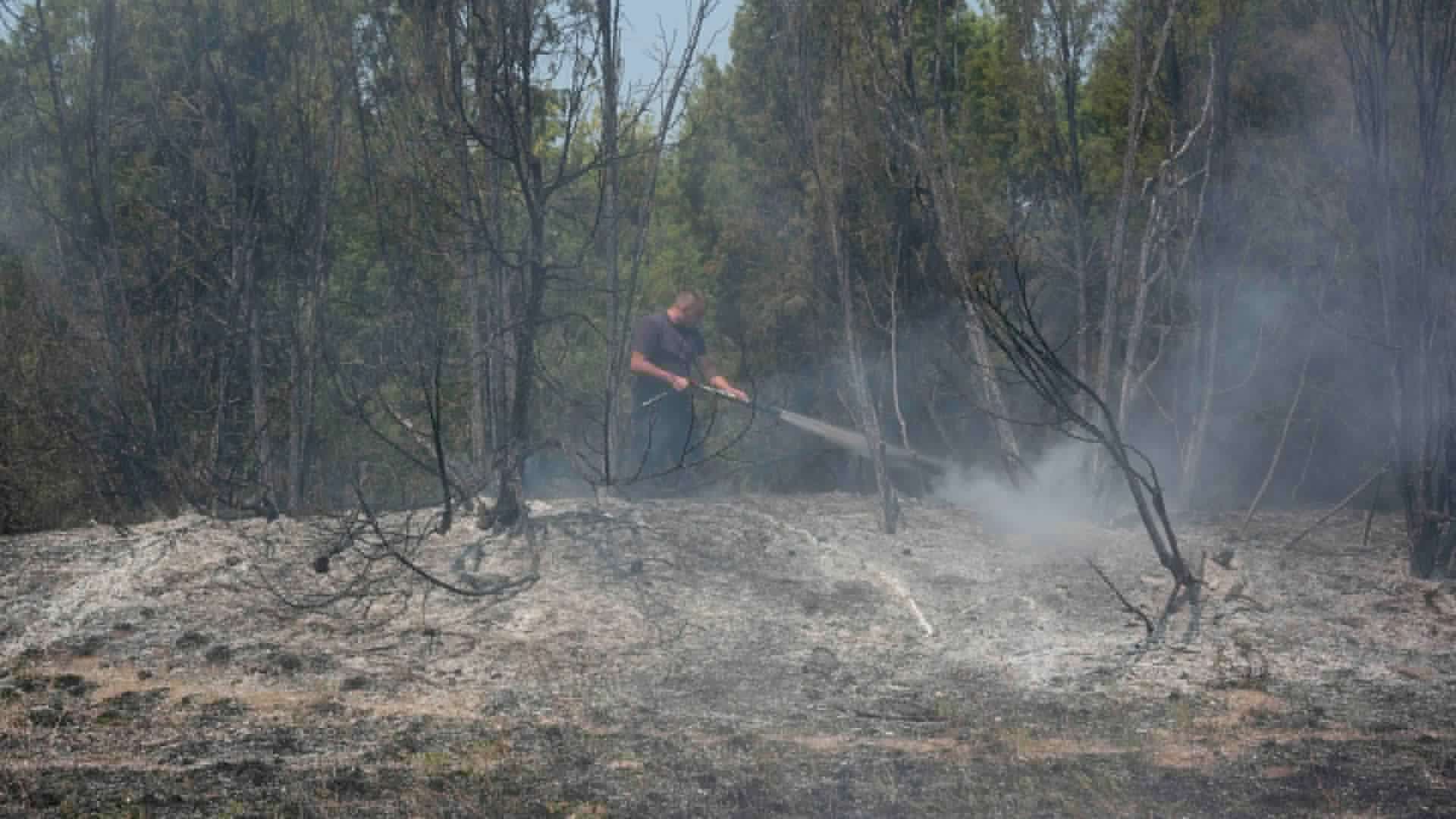 Požar u Deliblatskoj peščari i dalje traje, naselje Šumarak odbranjeno