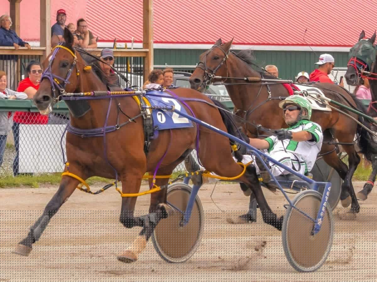 Alritealritealrite victorious again at Cape Breton's Northside Downs
