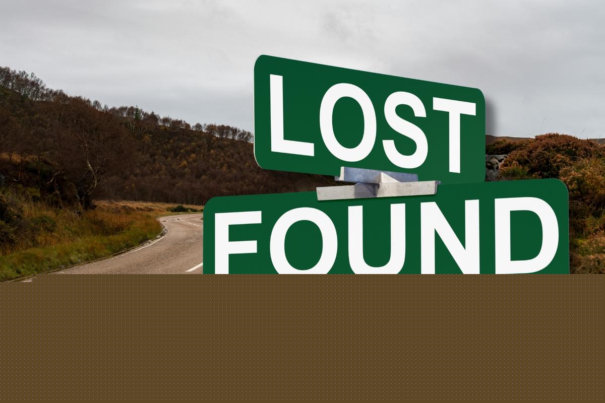 Washington Drivers Share Weirdest Roadside Sightings