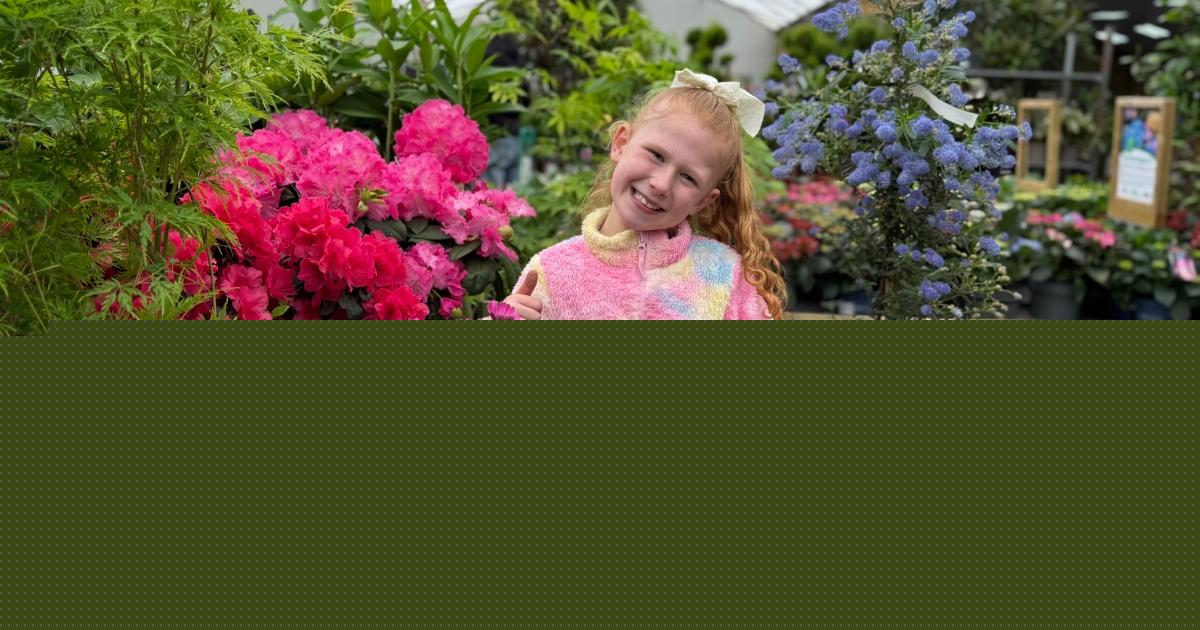How to create a sensory garden for children this summer