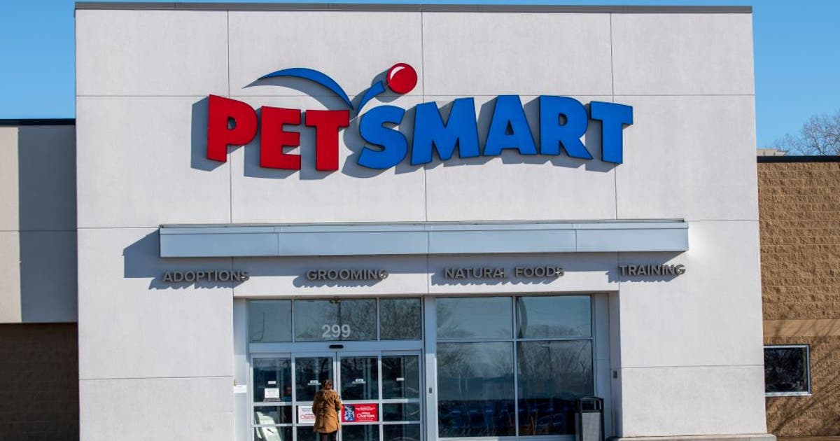 PetSmart and Furkids hold metro Atlanta National Adoption Week
