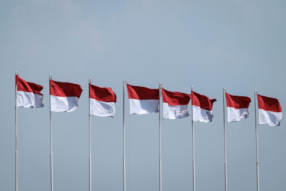 Can disability become the next soft power tool in Indonesia-MENA ties?