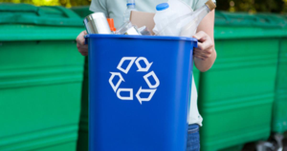 Major bin changes - these are the new bins coming to every home