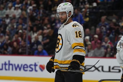 Bruins lose another top 6 forward to injury
