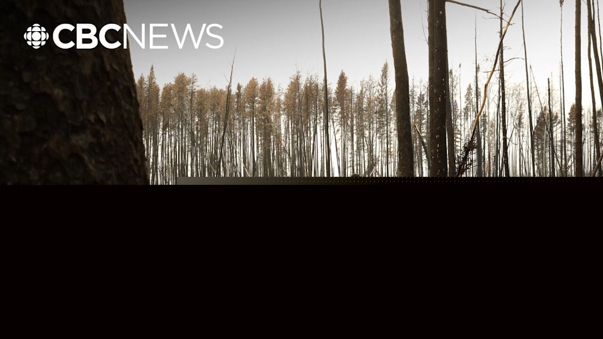 Evacuation alert lifted for Fort Simpson, residents reflect on experiences