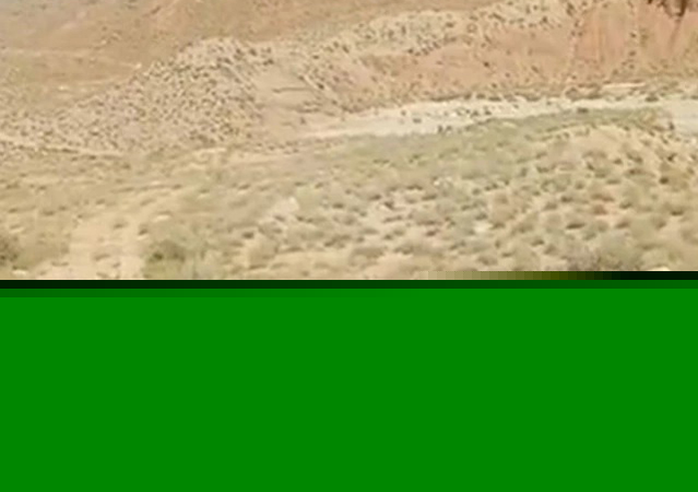 Security forces neutralise five terrorists in Panjgur
