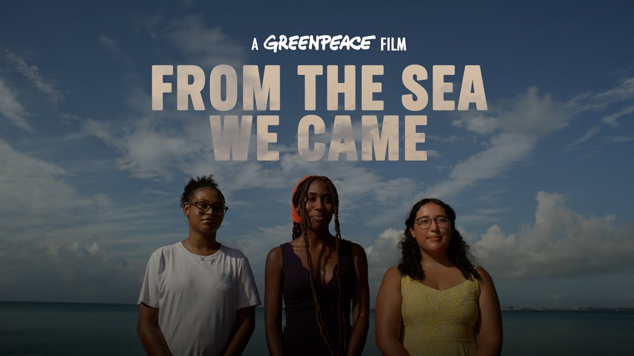 If you care about our oceans, this film is a must-watch