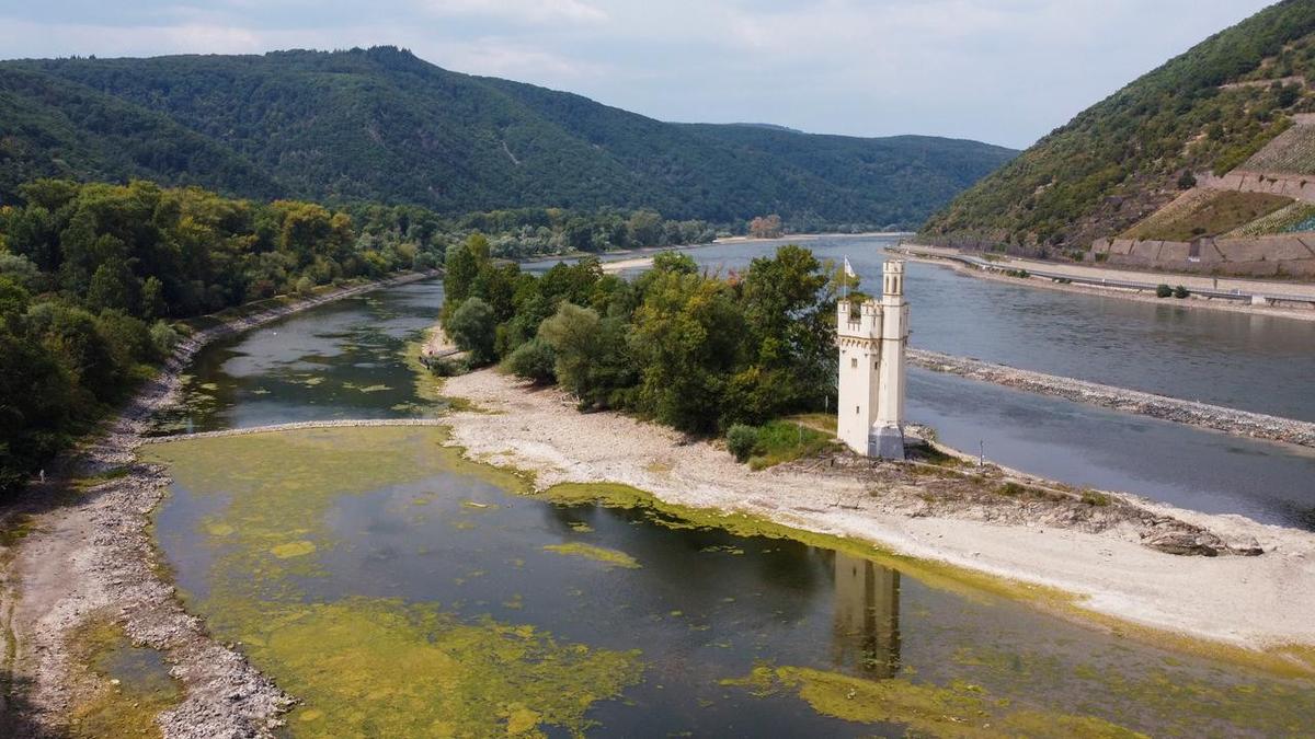 Drying up: Rhine could be 'split in two' by low water