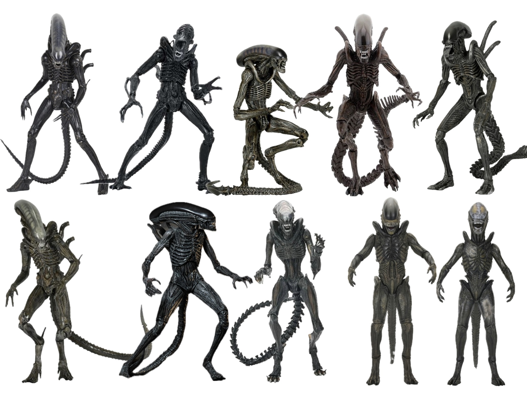 Alien - Neca xenomorph evolution