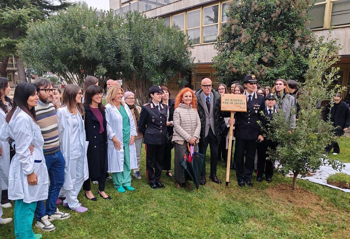 Un albero per la salute. Al Mazzoni arriva un leccio