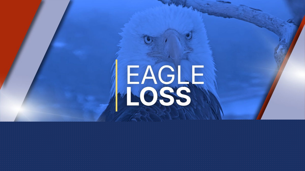 Big Bear Lake mourns Jackie the bald eagle as community remembers her lasting impact