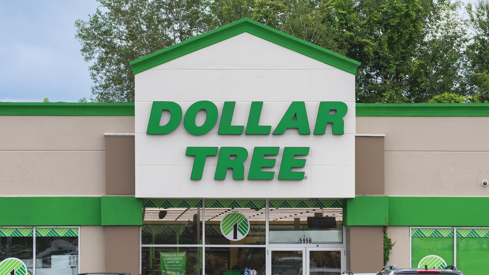 10 Dollar Tree Winter Items the Middle Class Needs To Buy for Under $20