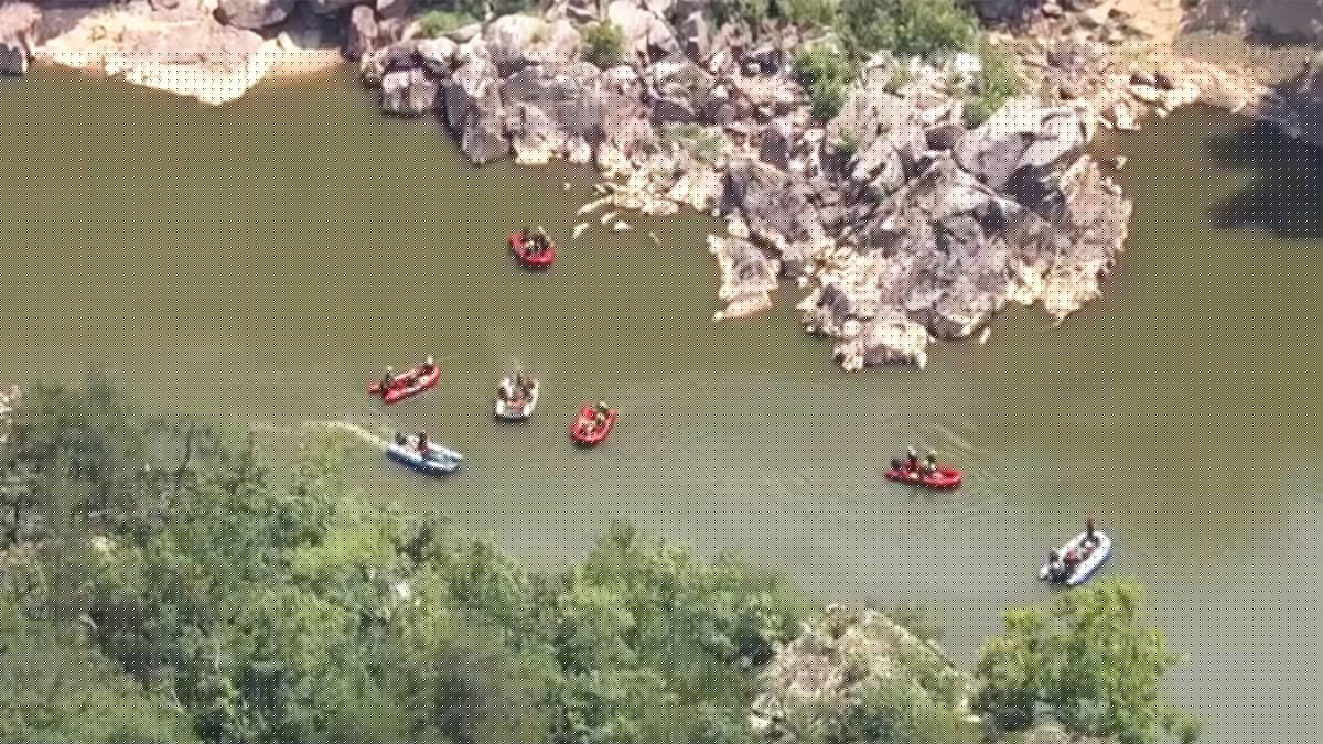 Body of missing swimmer found in Potomac River