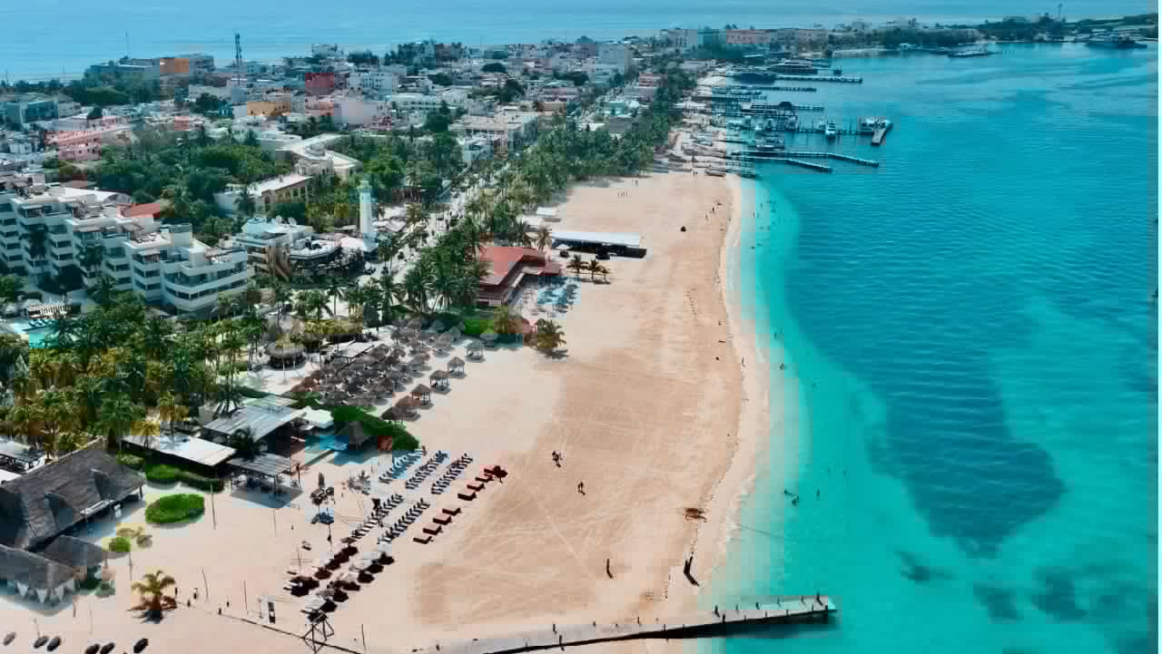Profepa investigation finds atypical daytime hatching cause of Isla Mujeres sea turtle deaths