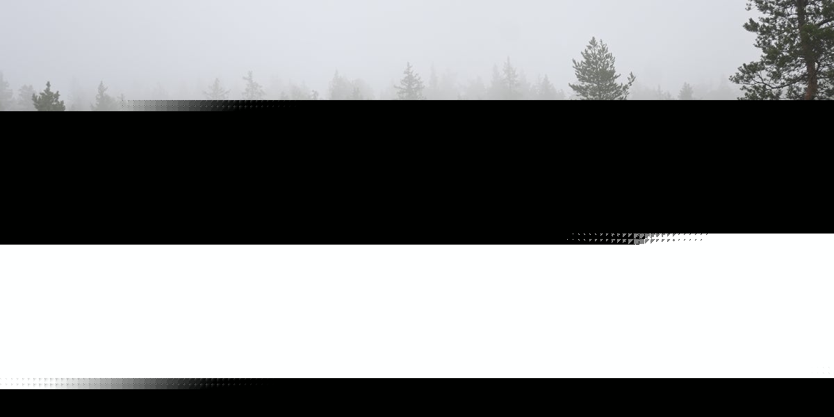 De sista oskyddade naturskogarna på väg att försvinna