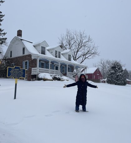 Snow Storm Fern Blankets Rockland