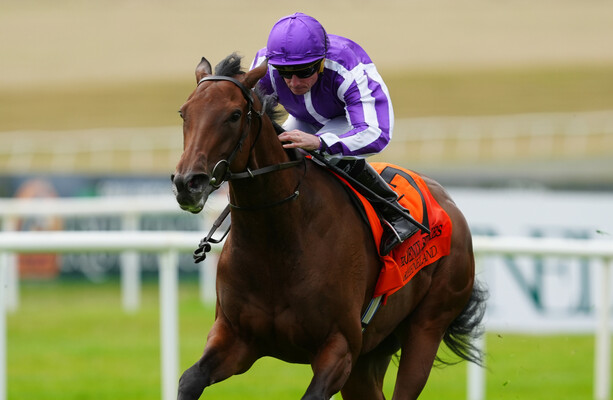 Aidan O'Brien's ‘exciting’ Sun Goddess comes from last to first to win Phoenix Stakes