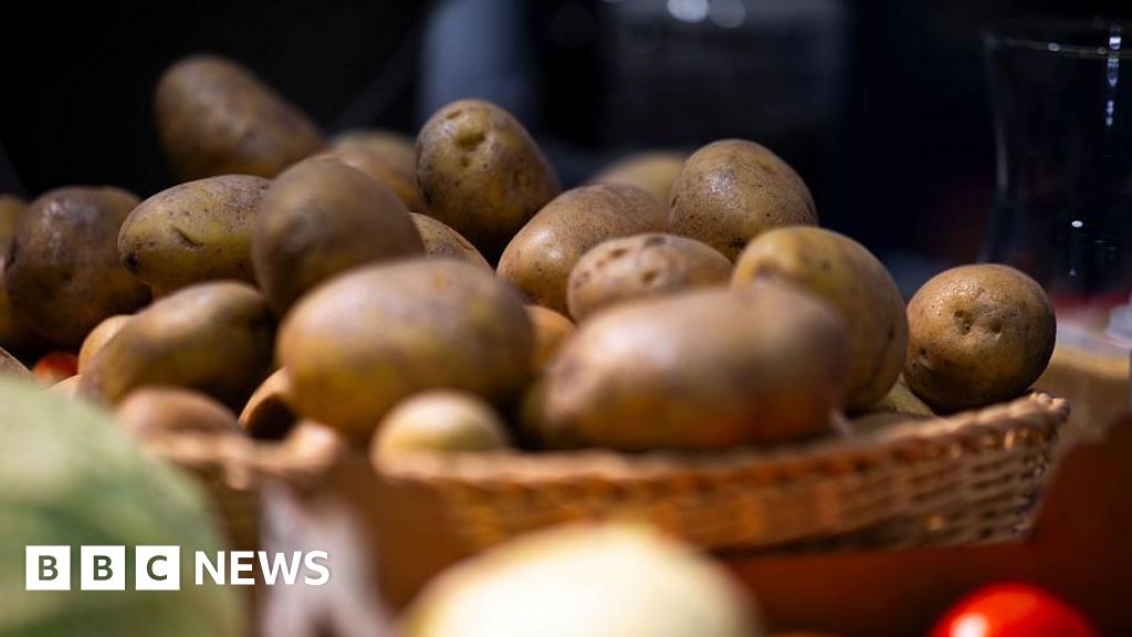 Chips, anyone? German farm gives away millions of potatoes after bumper harvest