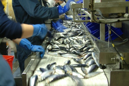 Pressure mounts for task force as inshore fishing sector struggles