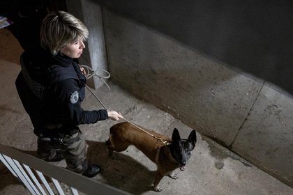 Violences physiques en hausse, vols de véhicule en baisse : les chiffres contrastés de la délinquance en 2025