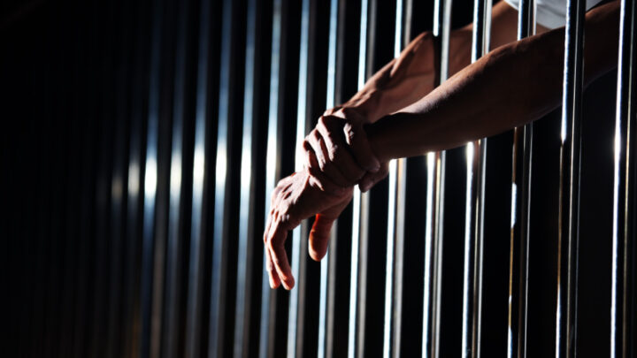 Monday Giggle: The Prison Joke Numbering System, and a Seagull’s Trip to Heaven