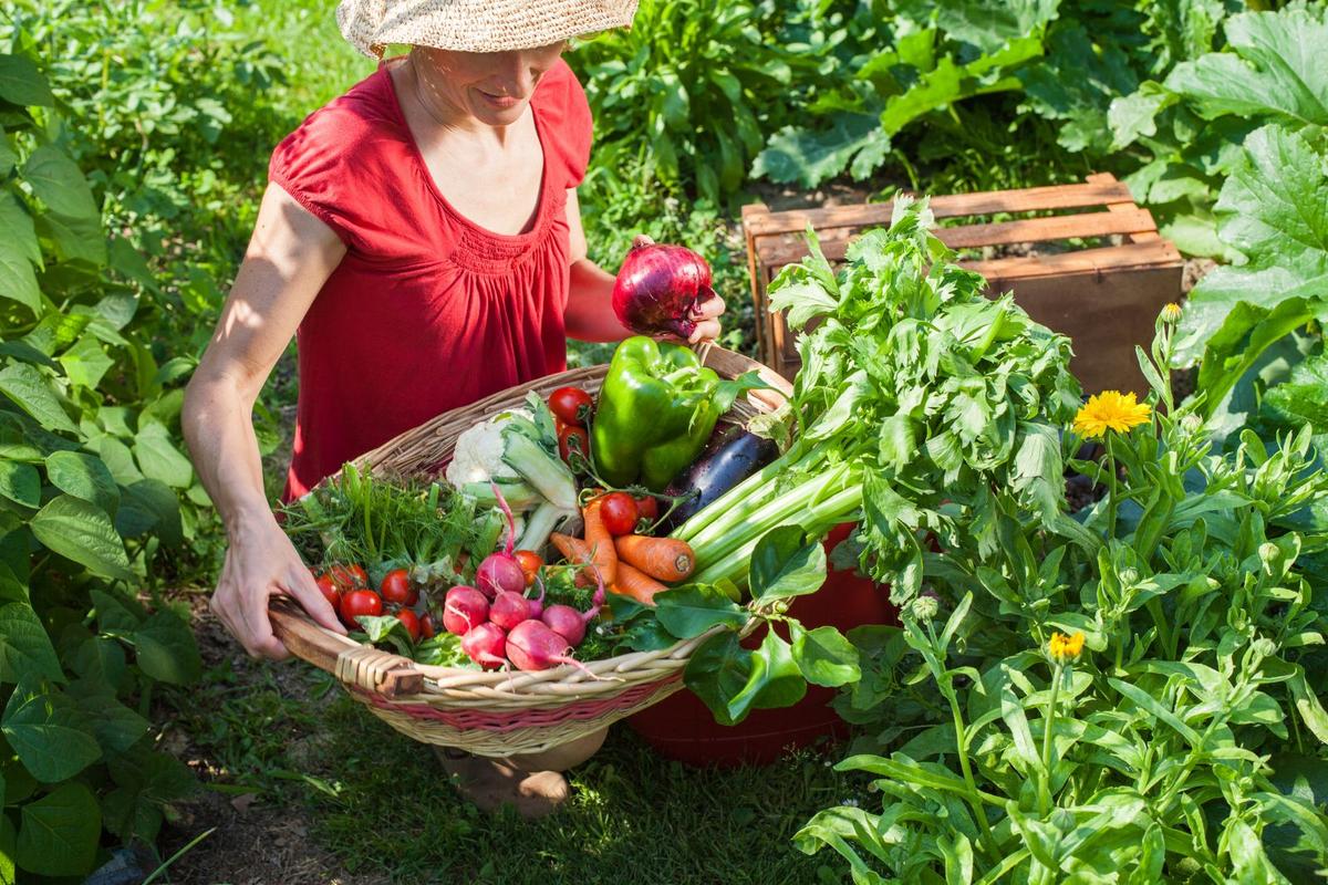 Fall Gardening Tips Every Louisiana Homeowner Should Know