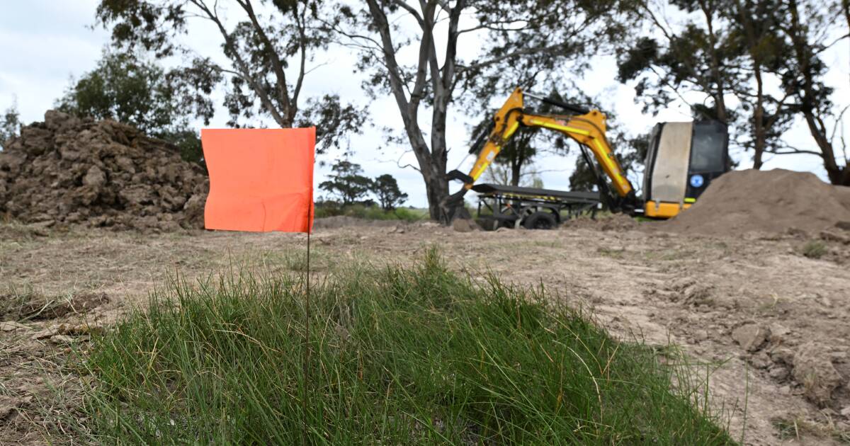 Why this 200-plus Bonshaw housing project was delayed by up to 18 months