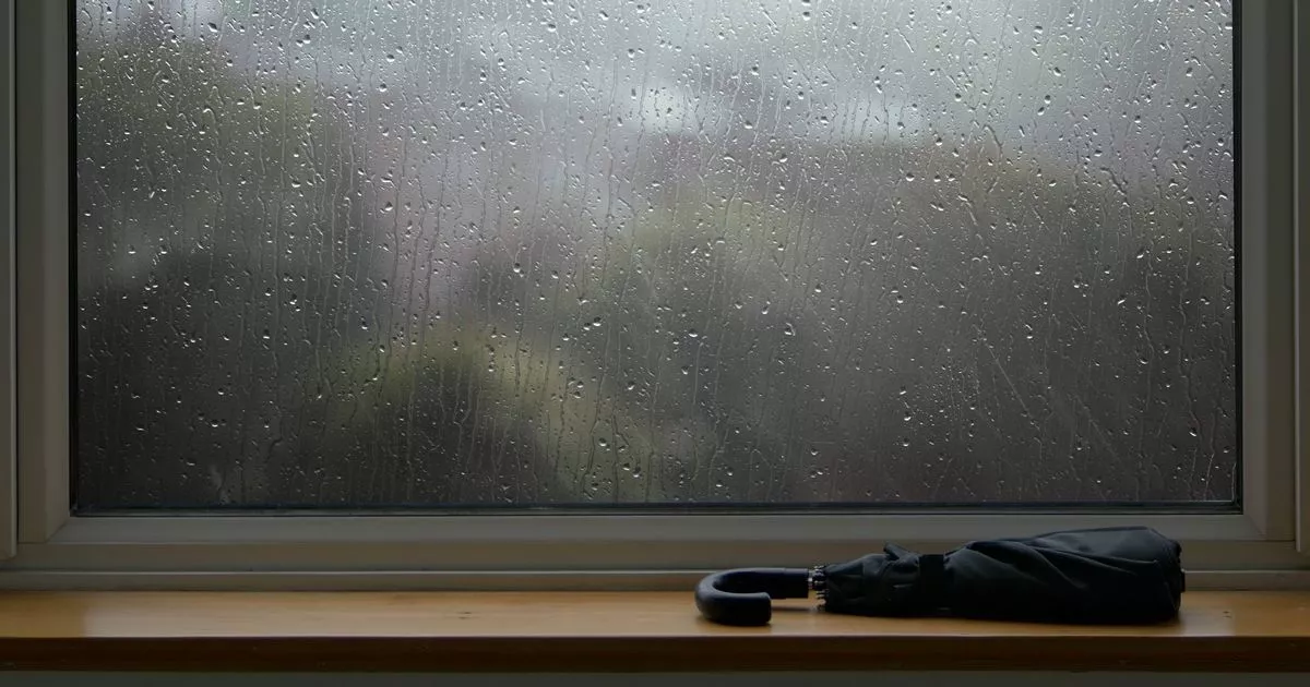 UK households told to put strange household item near windows and doors during Storm Amy