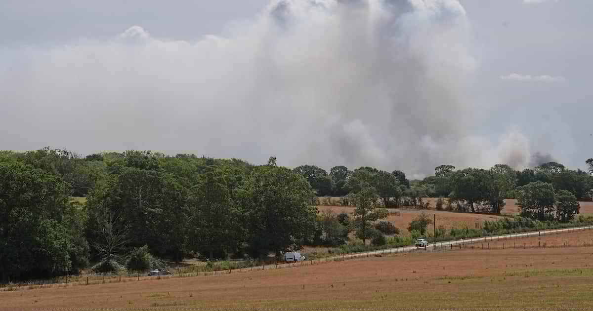 Drought, heatwaves, wildfires, deaths: The toll of UK’s extreme summer