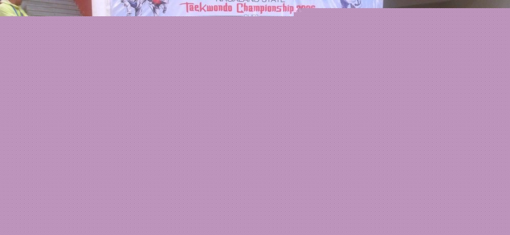 TCA’s Anayah Yaden bags gold in state taekwondo c’ship