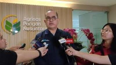 Indonesia's state farm company to invest nearly $500 million to boost rice output