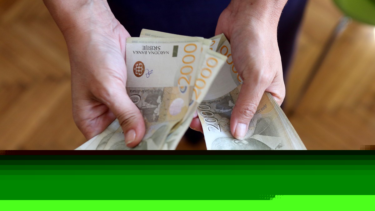Mnogi ih nisu ni razmatrali, a donose novac: 10 poslova koji bi mogli da budu prava poslovna prilika u Srbiji, mogu dobro da se isplate