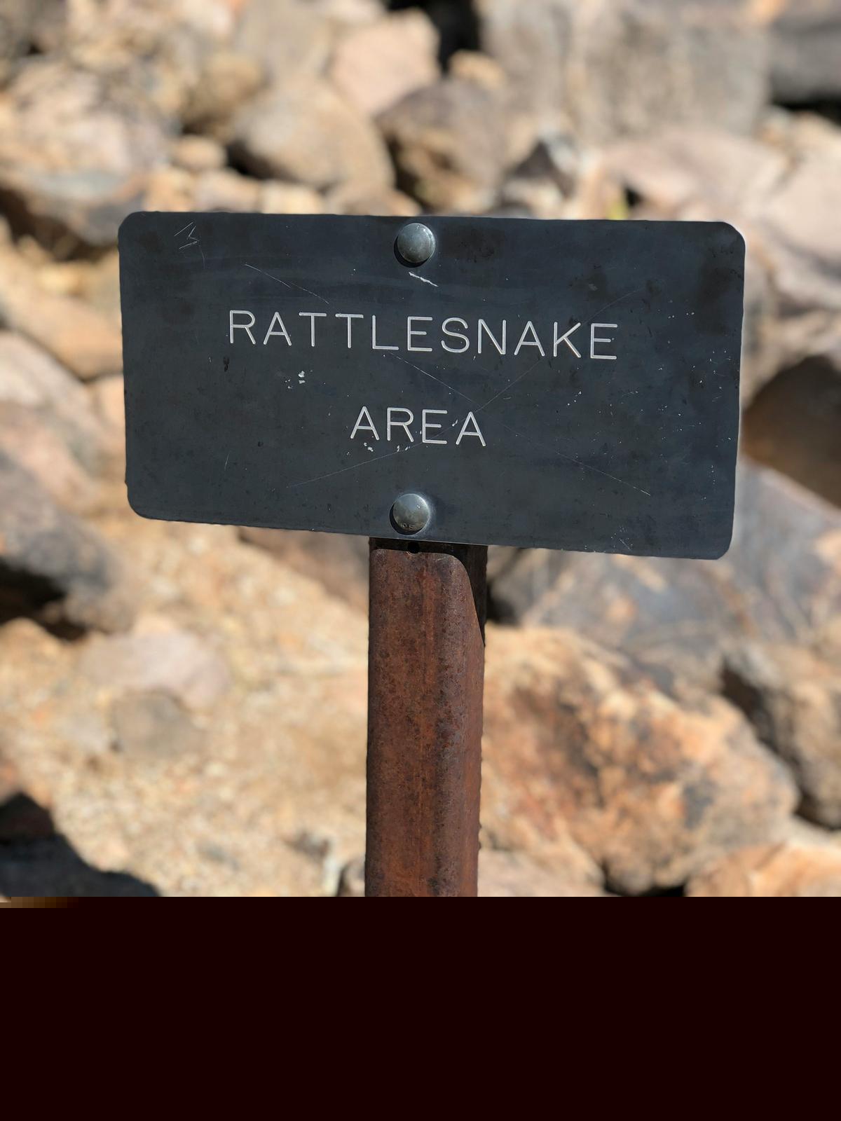 Montana Child Bitten By Rattlesnake While Visiting Popular River