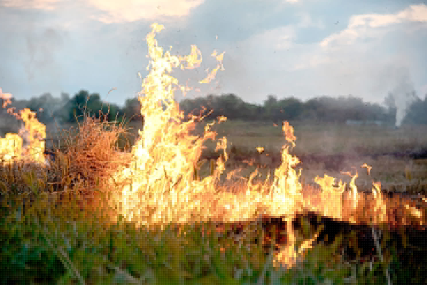 County looks at changing burn ban rules