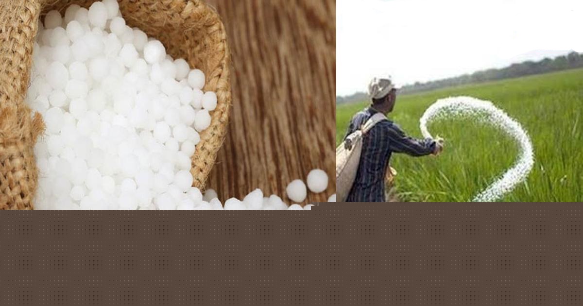 Urea Fertilizer Ban Imposed in Tank District, KP