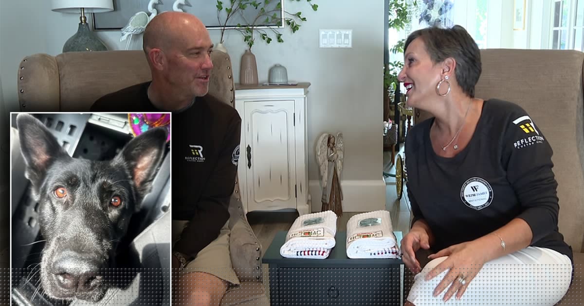 Polk County K9 Ace's surgery paid for by Tampa couple's non-profit