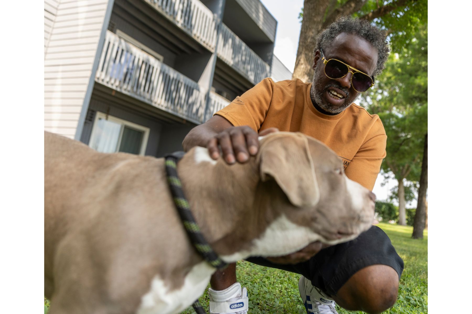 Despite religious controversy, Somali immigrants’ dog ownership on the rise in Minnesota