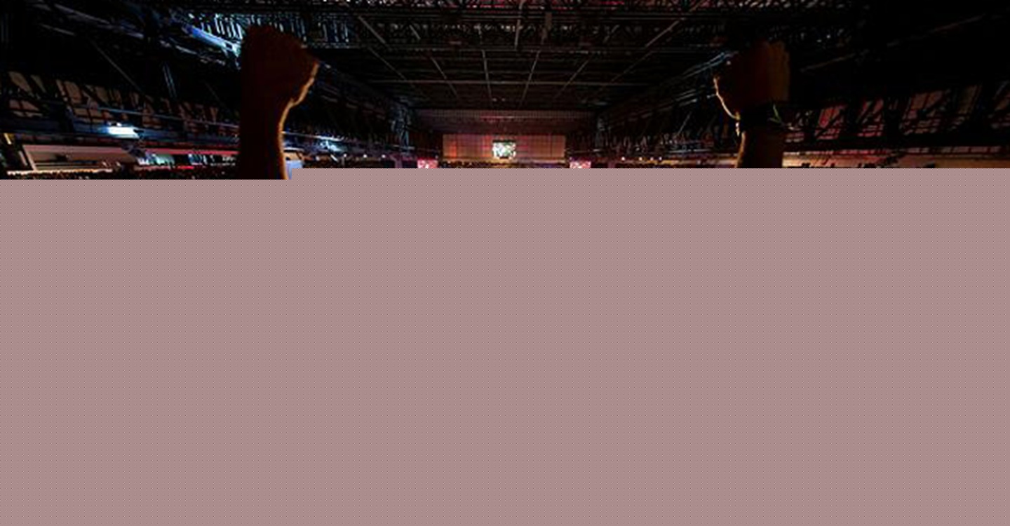 How MMA Fans Are Embracing Online Entertainment Today