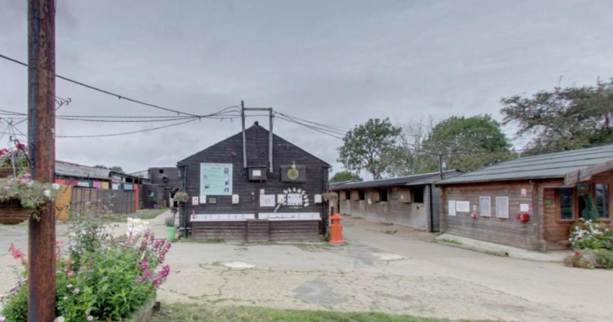 Popular Essex animal sanctuary to close due to soaring temperatures