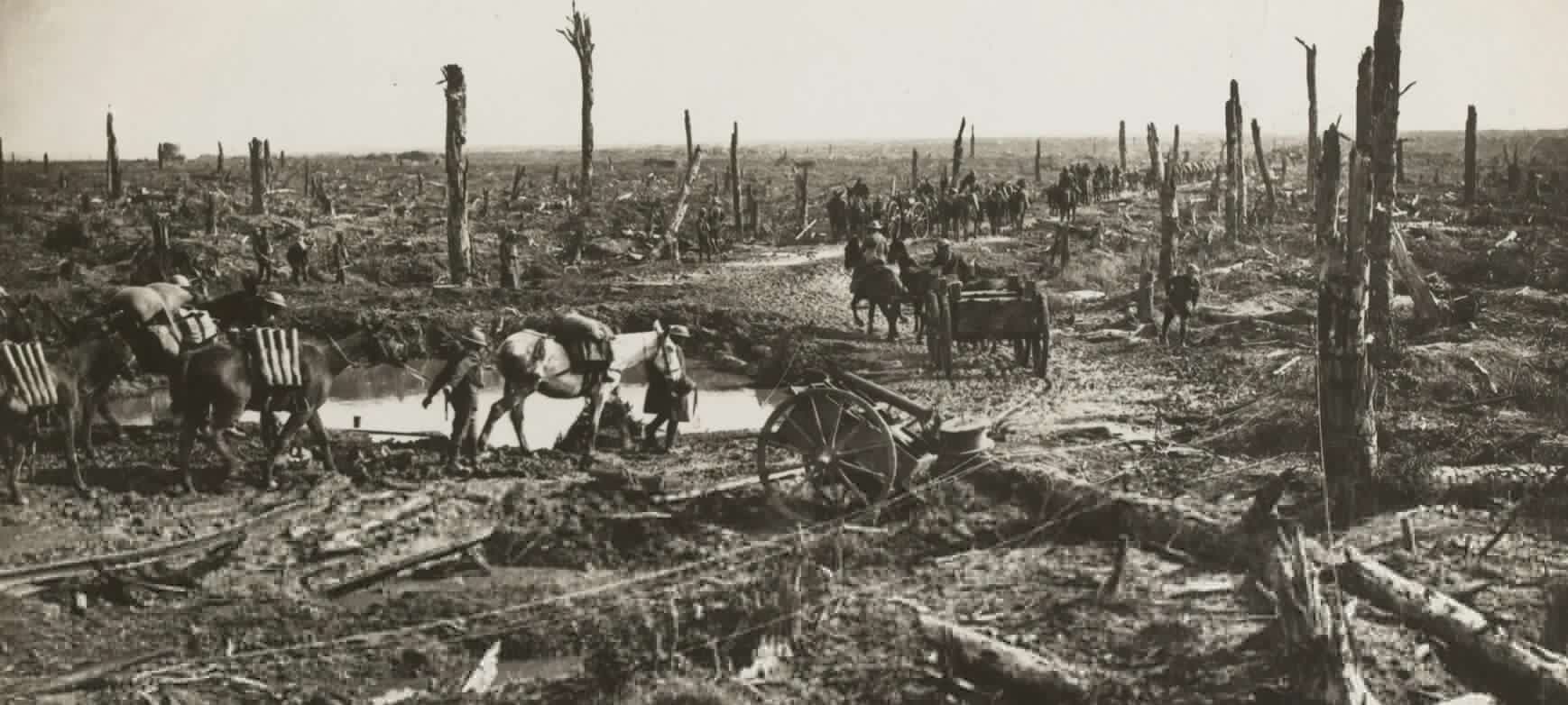 Analysis of the early fighting in the First World War, 108 years ago