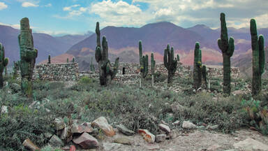 Ouadi Qadisha (the Holy Valley) and the Forest of the Cedars of God (Horsh Arz el-Rab)