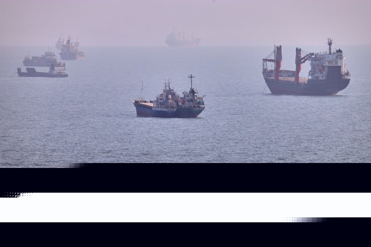 Ships stuck in the Strait of Hormuz risk creating global biosecurity ‘super-spreader’ event