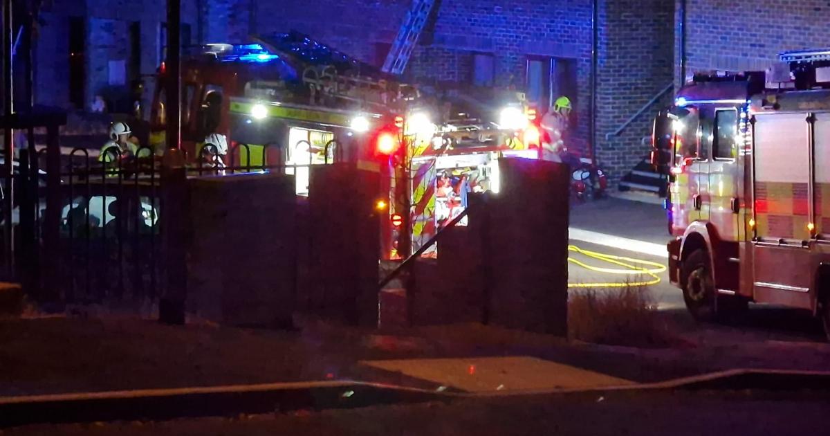Person and dog rescued from flat fire in Newtown