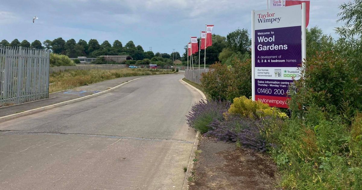 New wetlands needed to continue major Somerset housing development