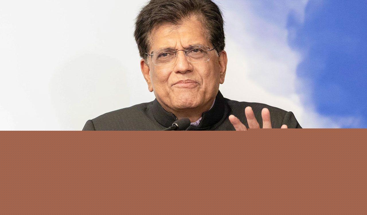 Piyush Goyal demands Rahul Gandhi apologise for Lok Sabha allegations