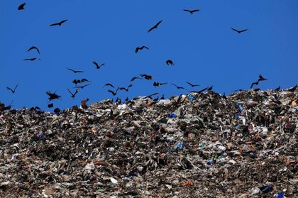 Panama Sends Incarcerated Women to Clean Streets as Trash Crisis Deepens