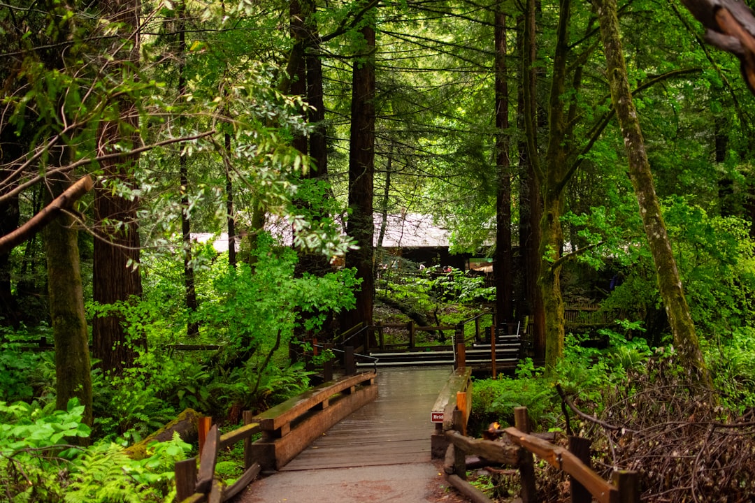 Humpday Headlines: Muir Woods Closed Due to Federal Shutdown