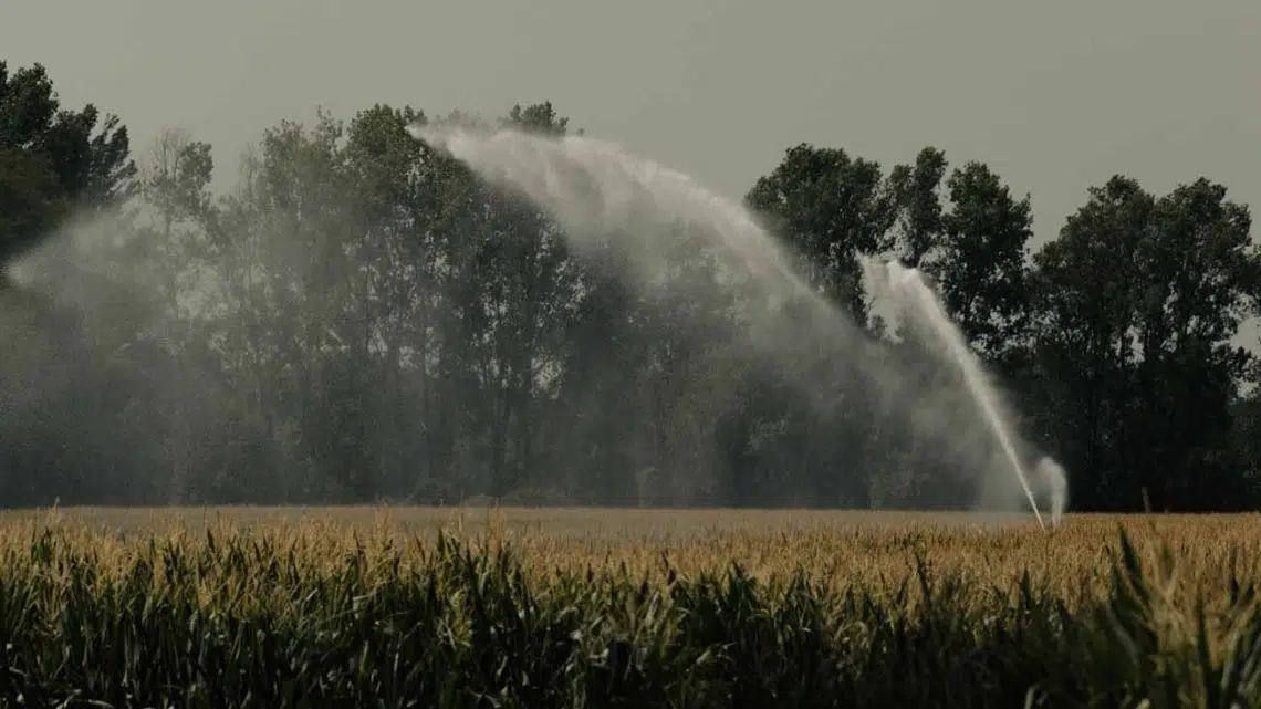 Francia registra su mes más caluroso desde 1900: julio de 2026 con 24,9°C y sequía del 70% por cambio climático