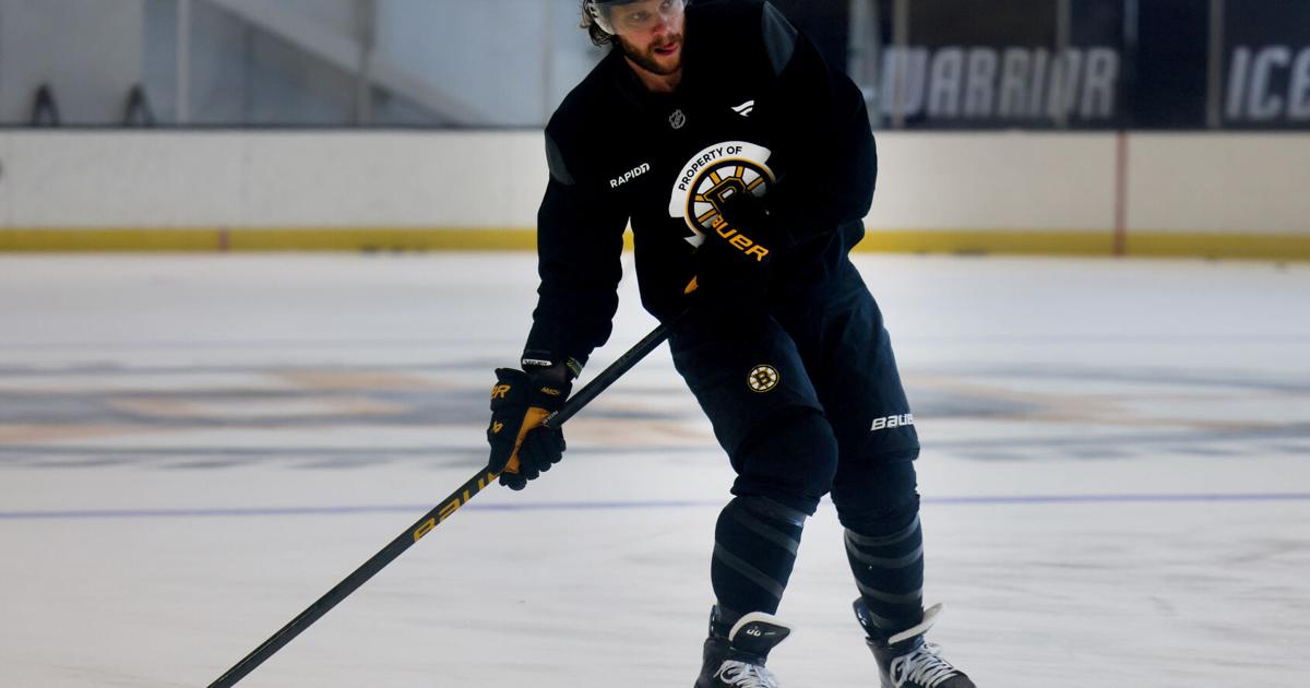 David Pastrnak joins Bruins in camp